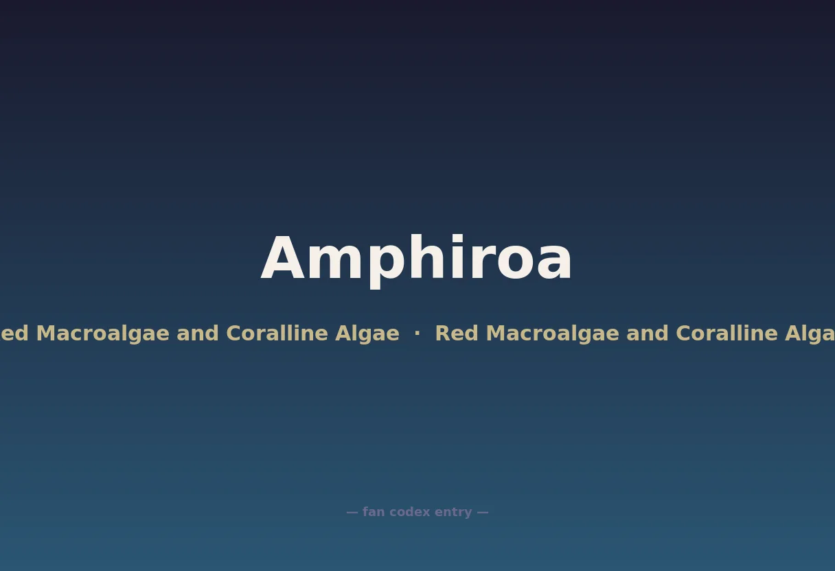 Amphiroa