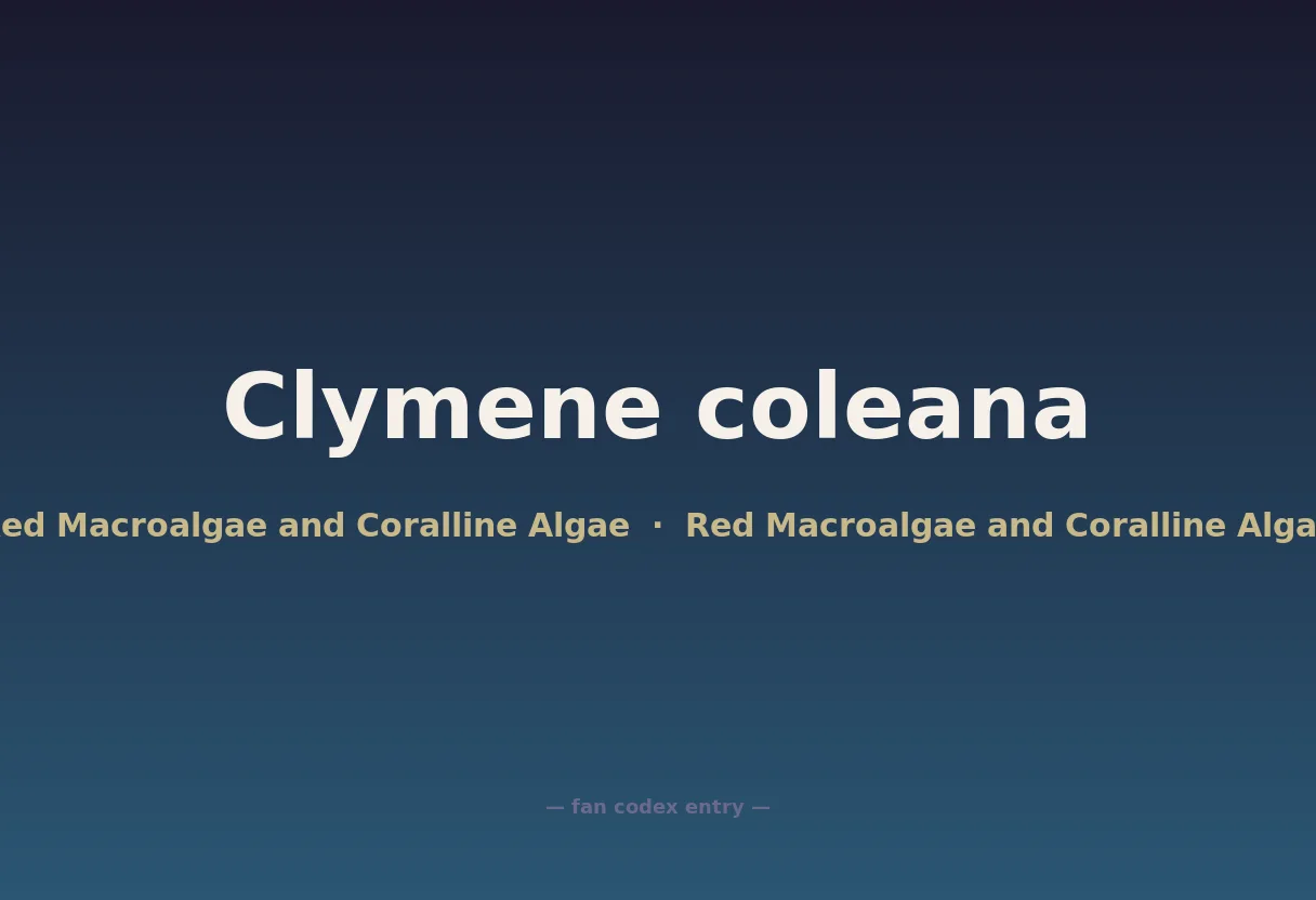 Clymene coleana