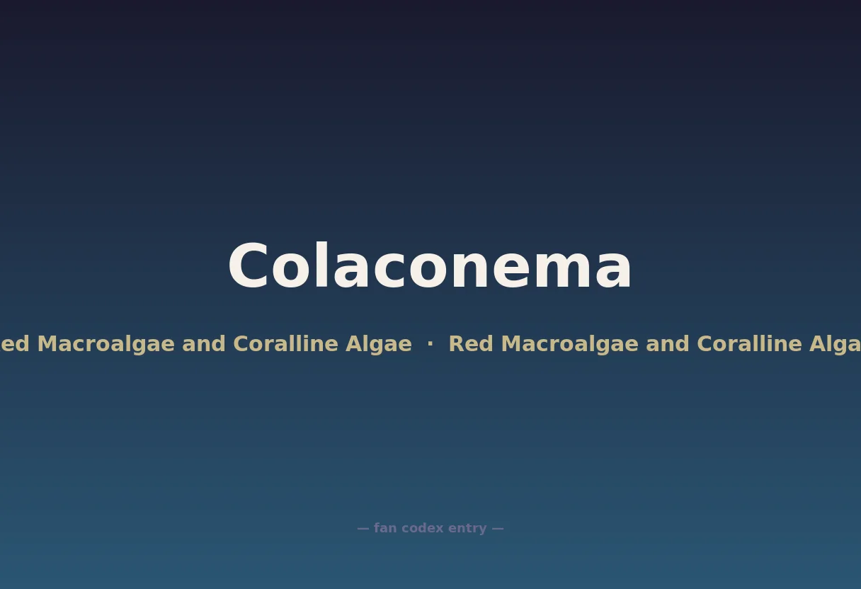Colaconema