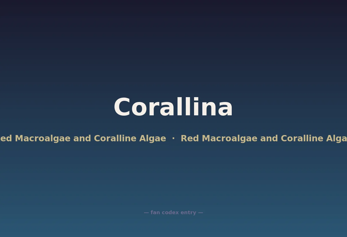 Corallina