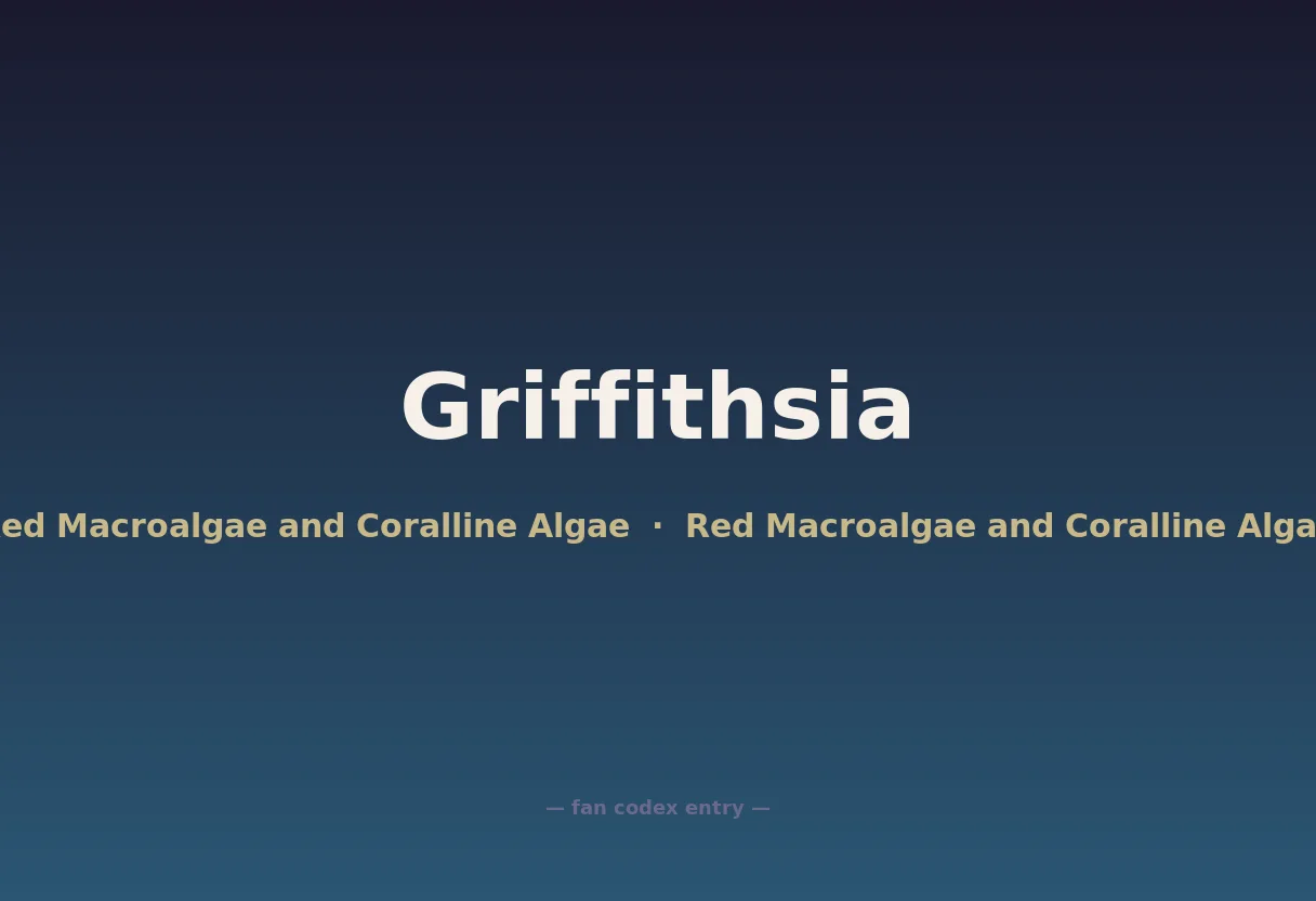 Griffithsia