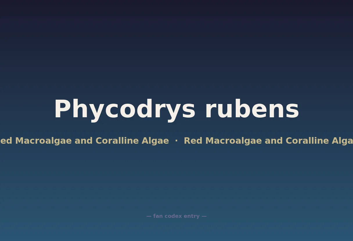 Phycodrys rubens