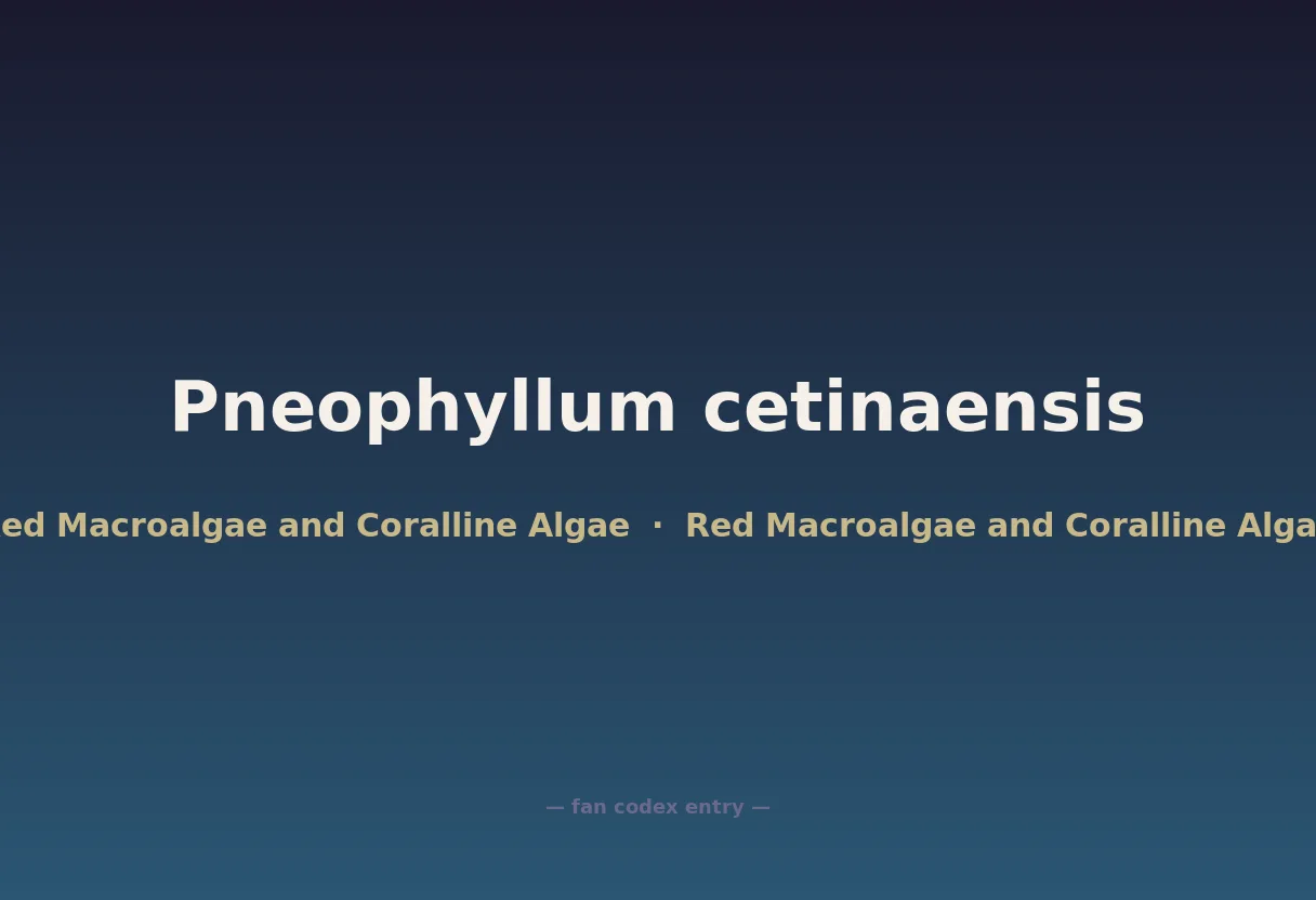 Pneophyllum cetinaensis