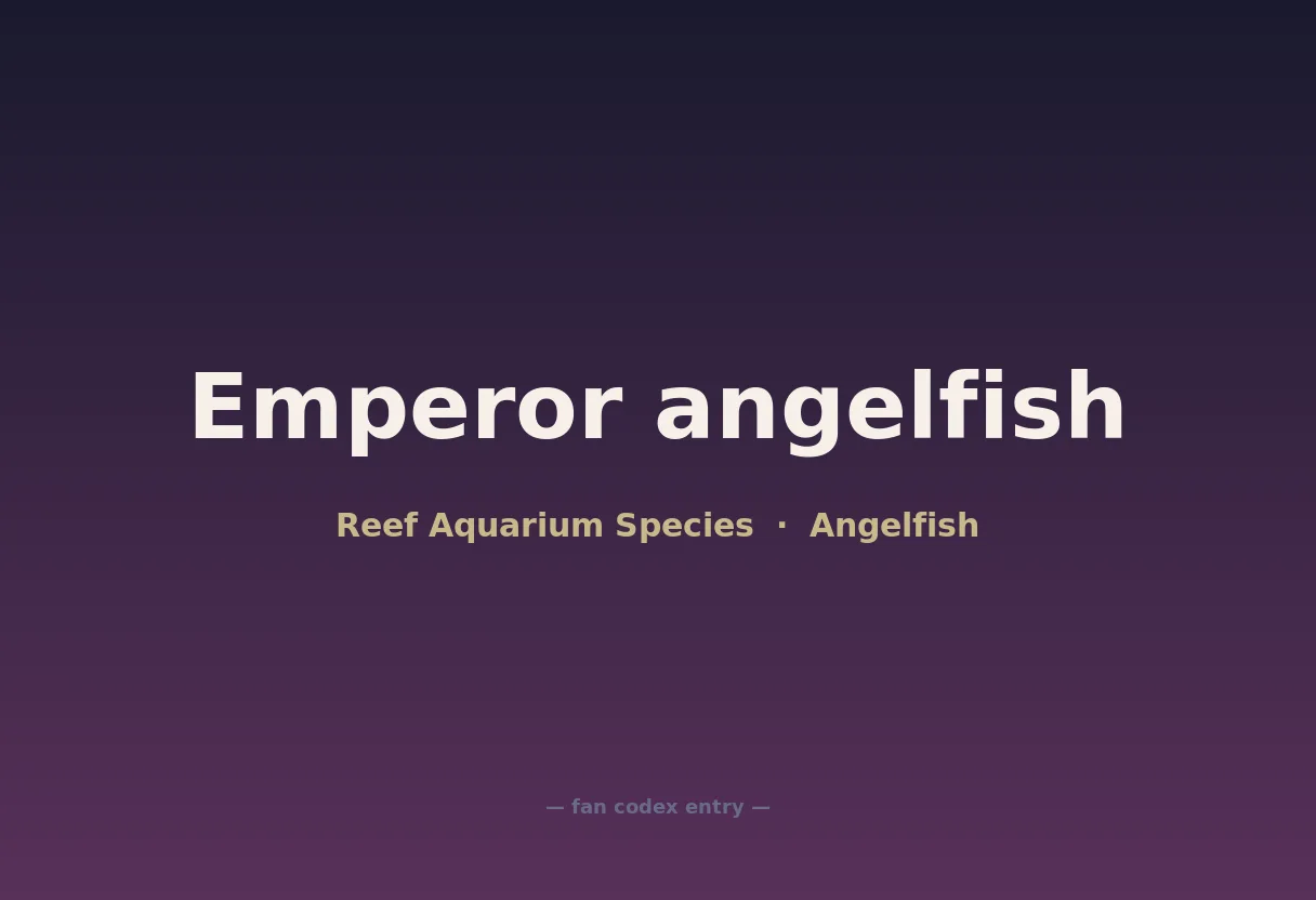 Emperor angelfish
