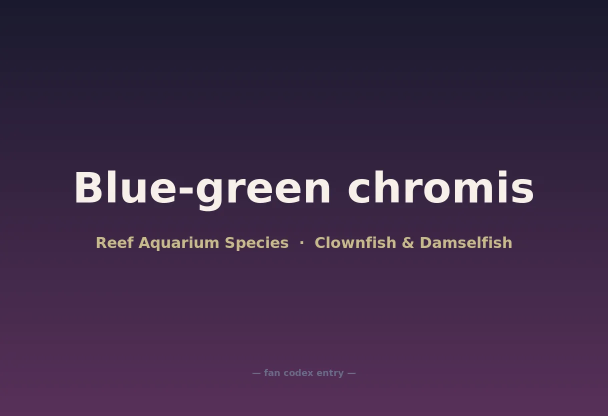 Blue-green chromis