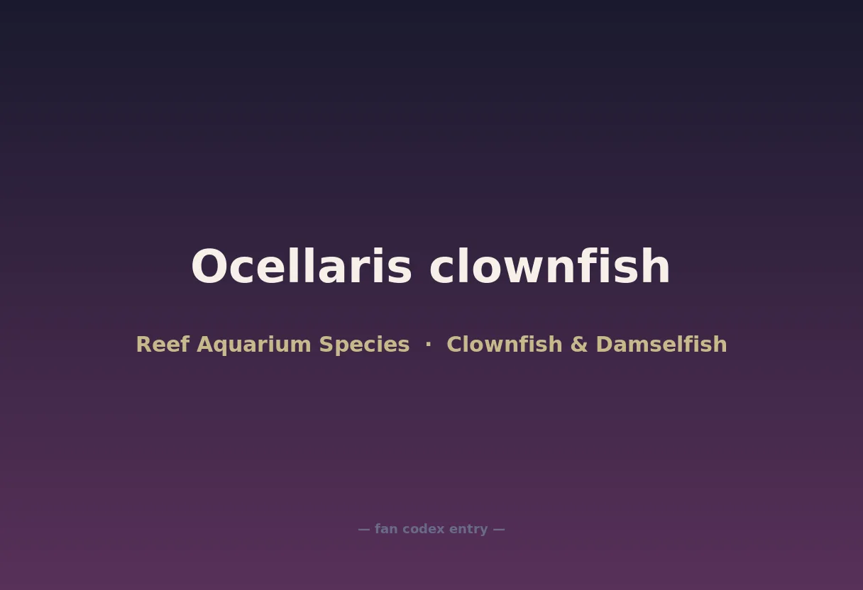 Ocellaris clownfish