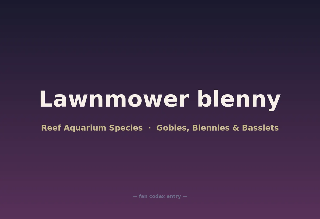 Lawnmower blenny