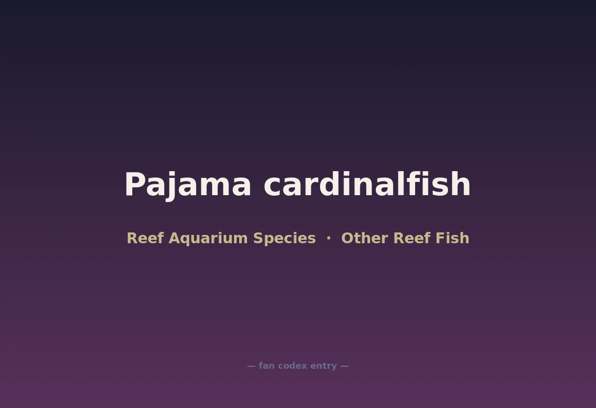 Pajama cardinalfish