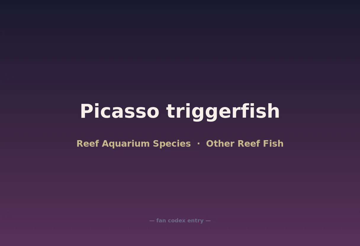 Picasso triggerfish