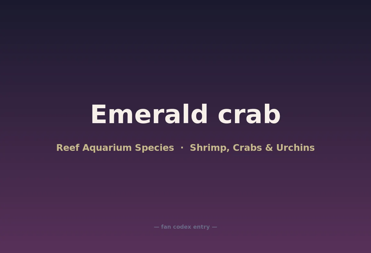 Emerald crab