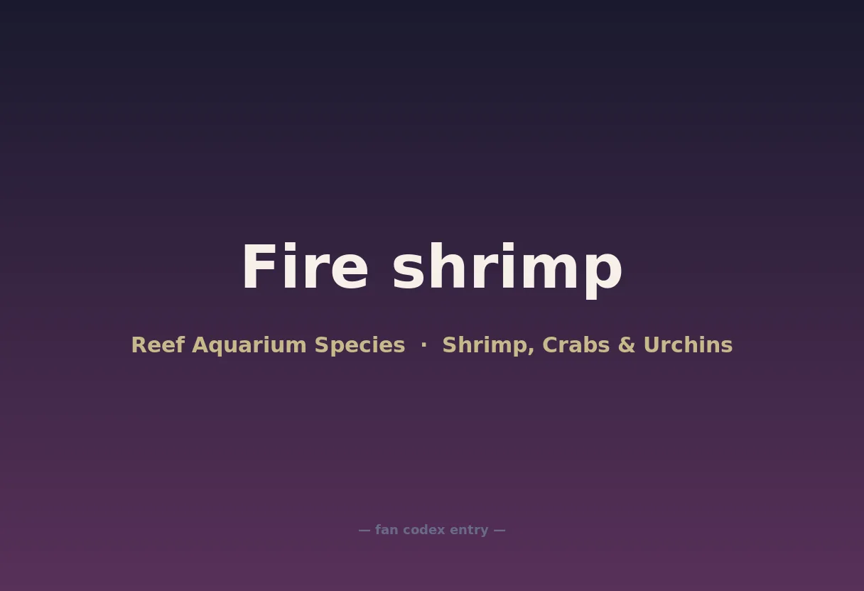 Fire shrimp
