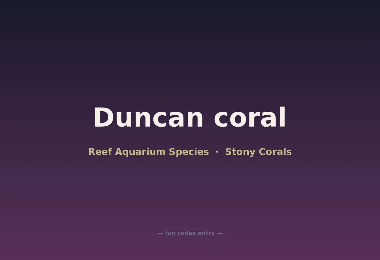 Duncan coral