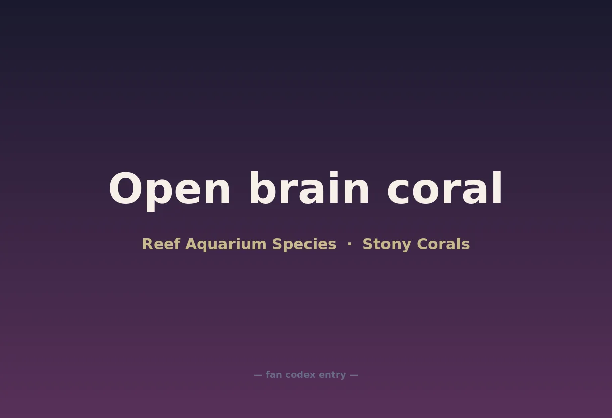Open brain coral