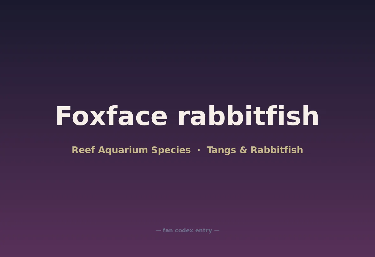 Foxface rabbitfish