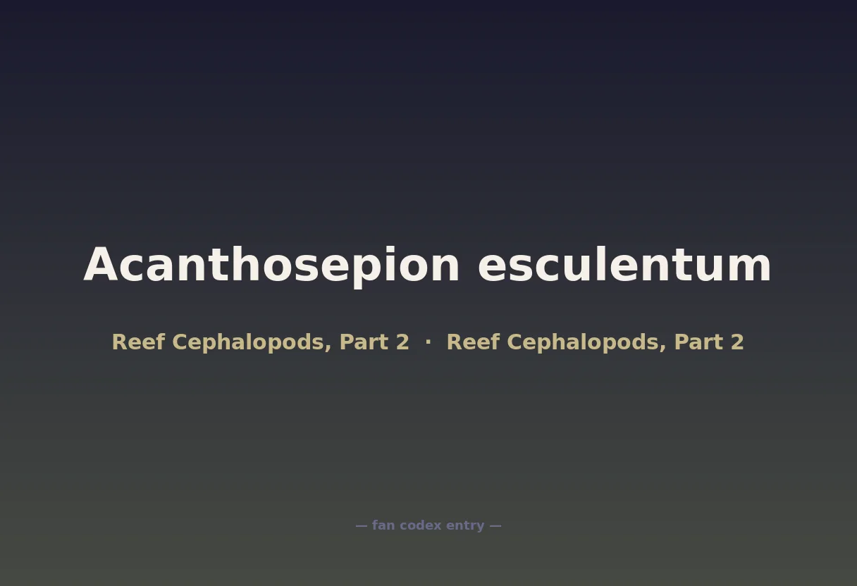 Acanthosepion esculentum