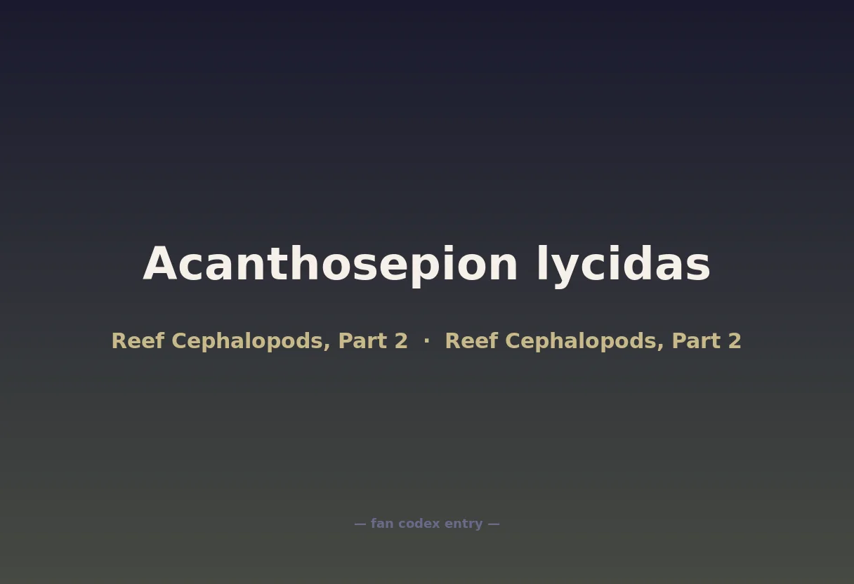 Acanthosepion lycidas