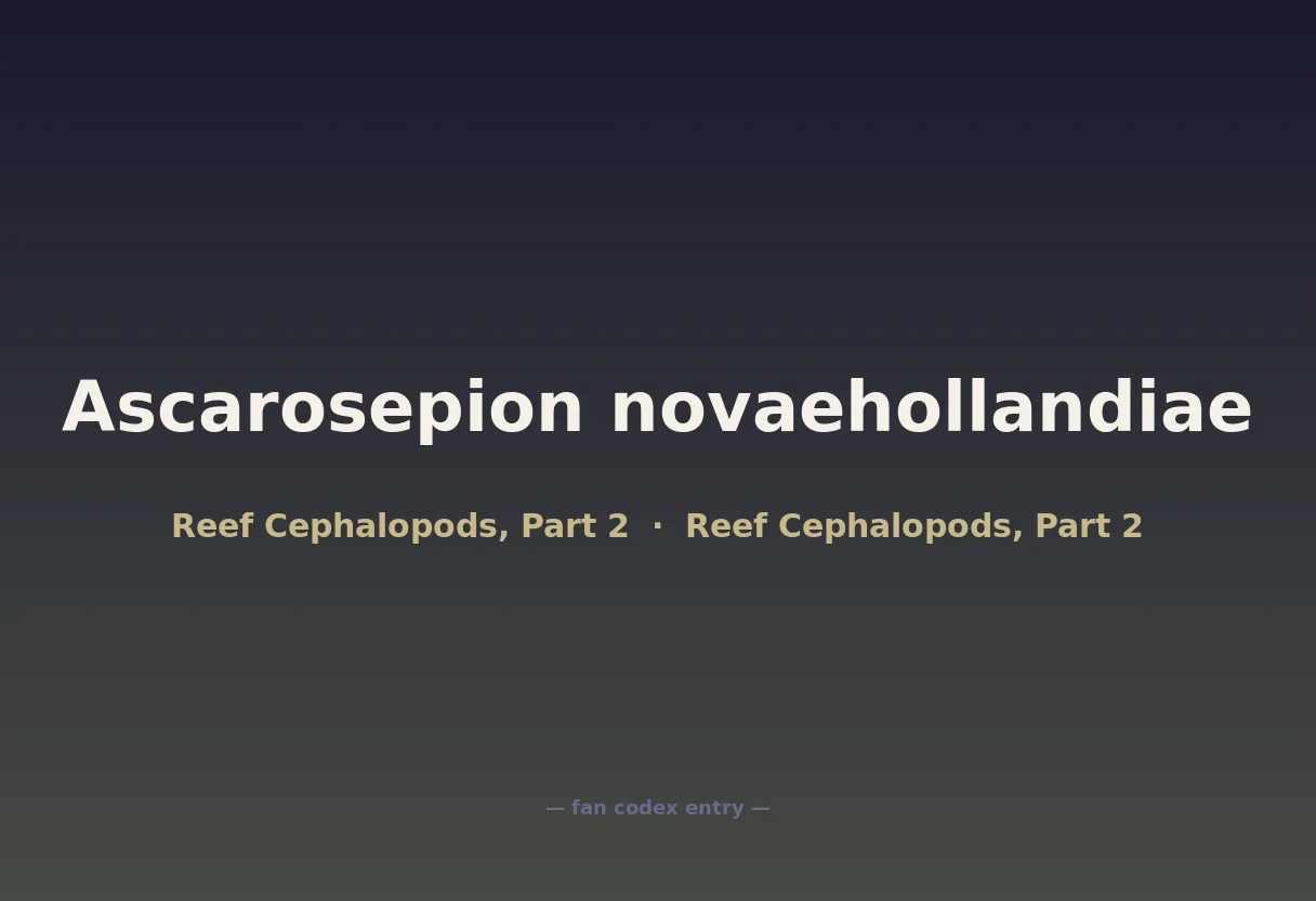 Ascarosepion novaehollandiae