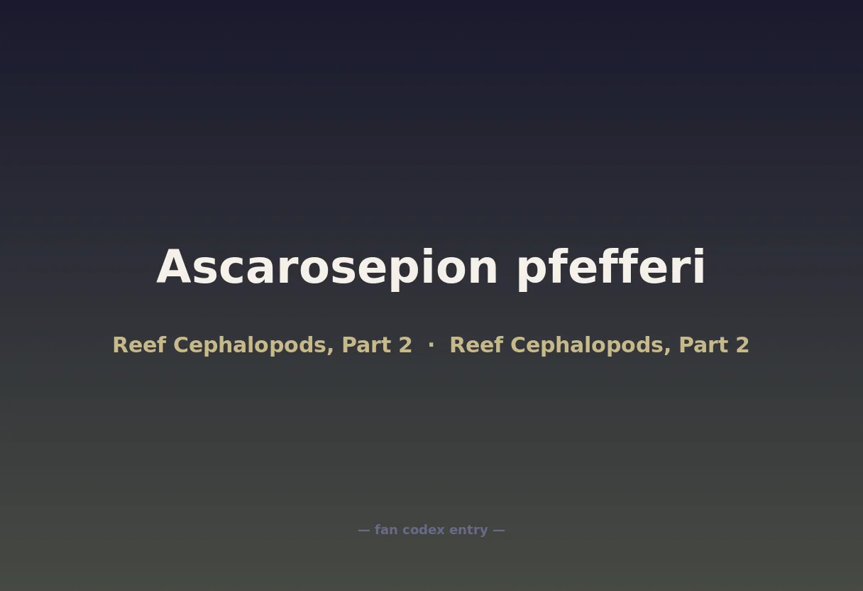 Ascarosepion pfefferi