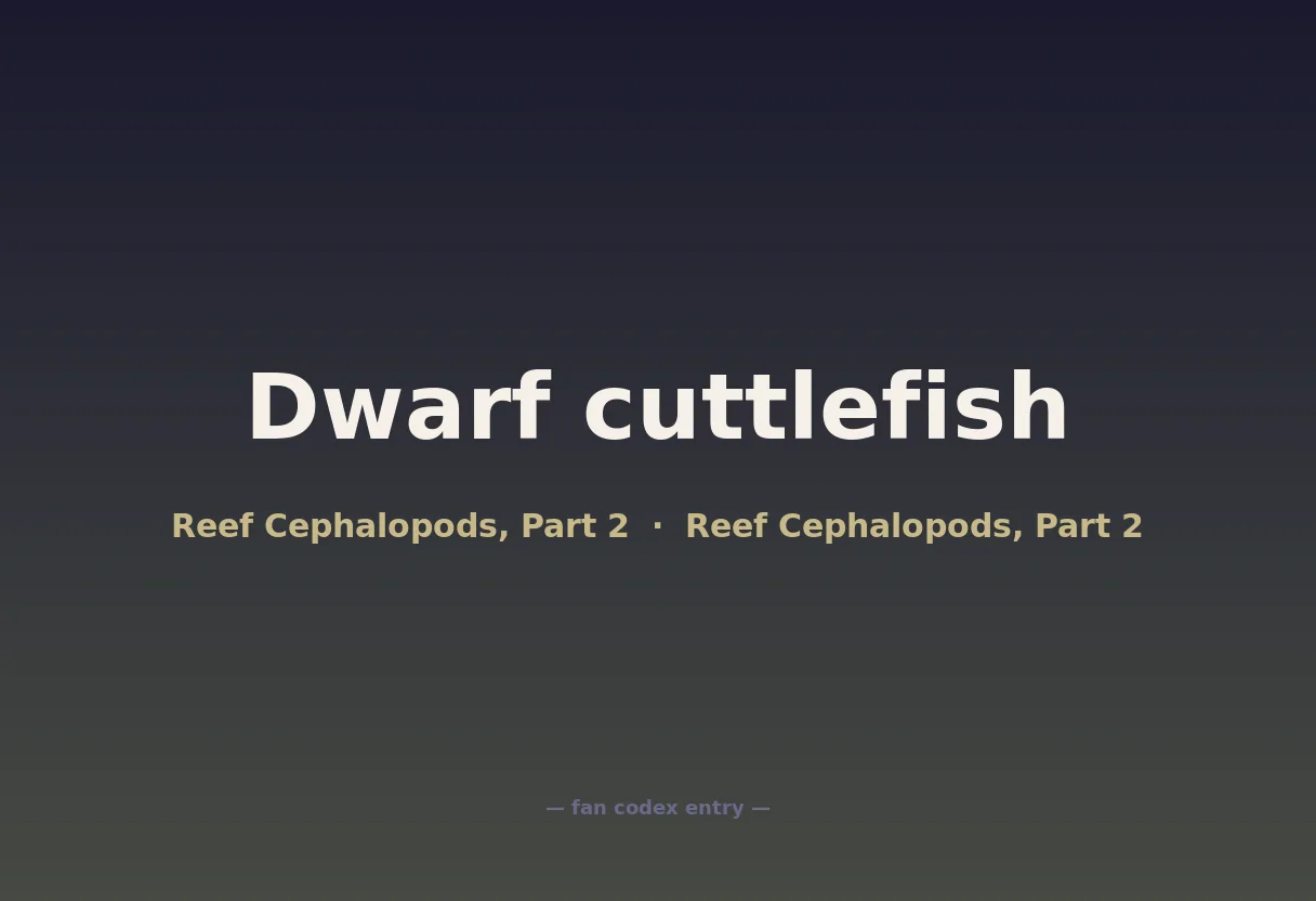 Dwarf cuttlefish