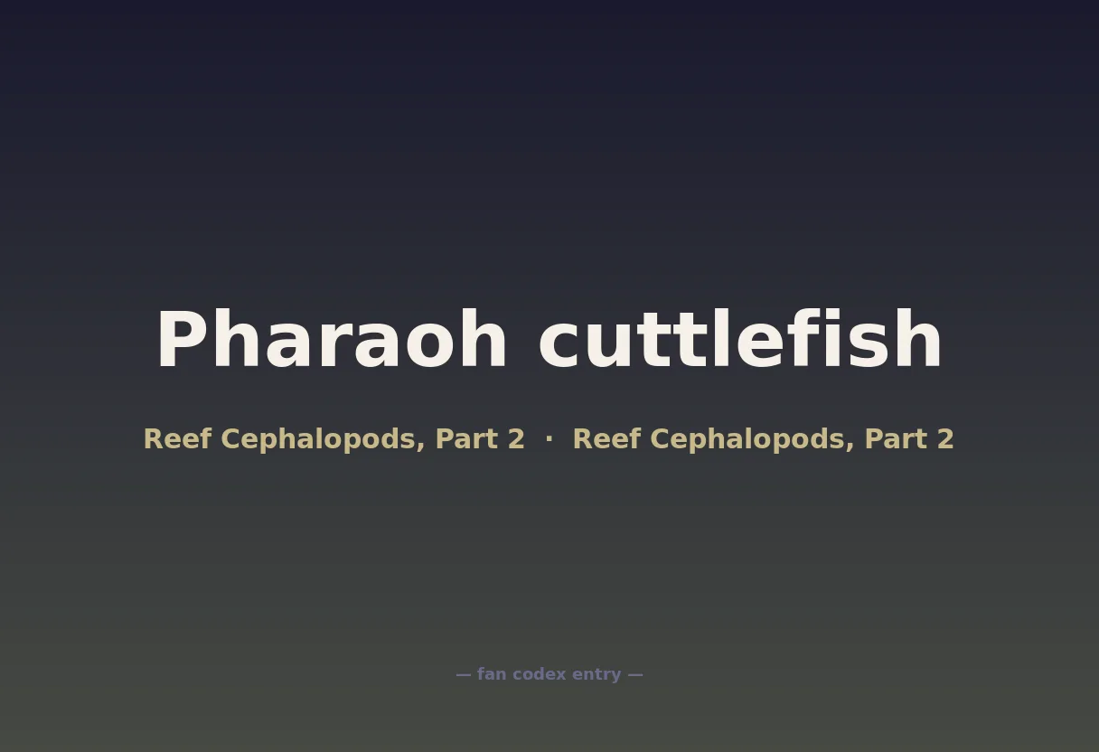 Pharaoh cuttlefish