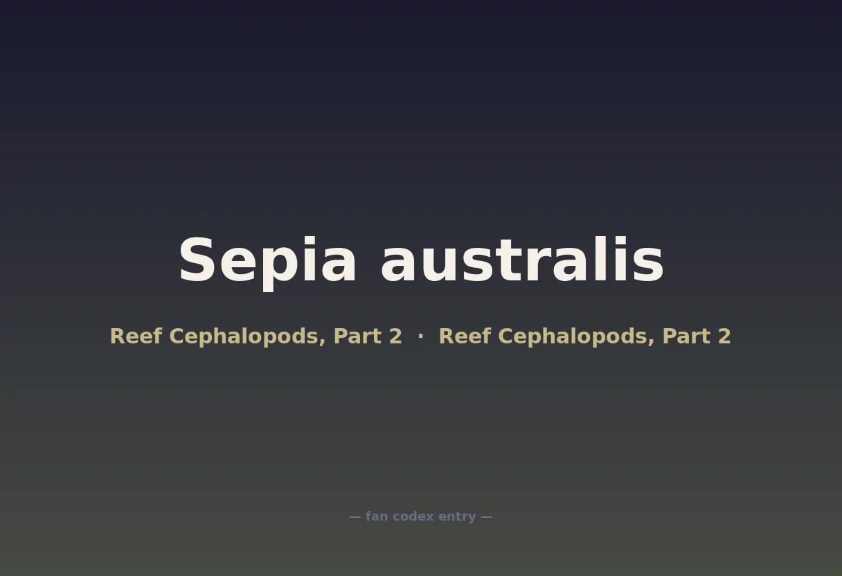 Sepia australis