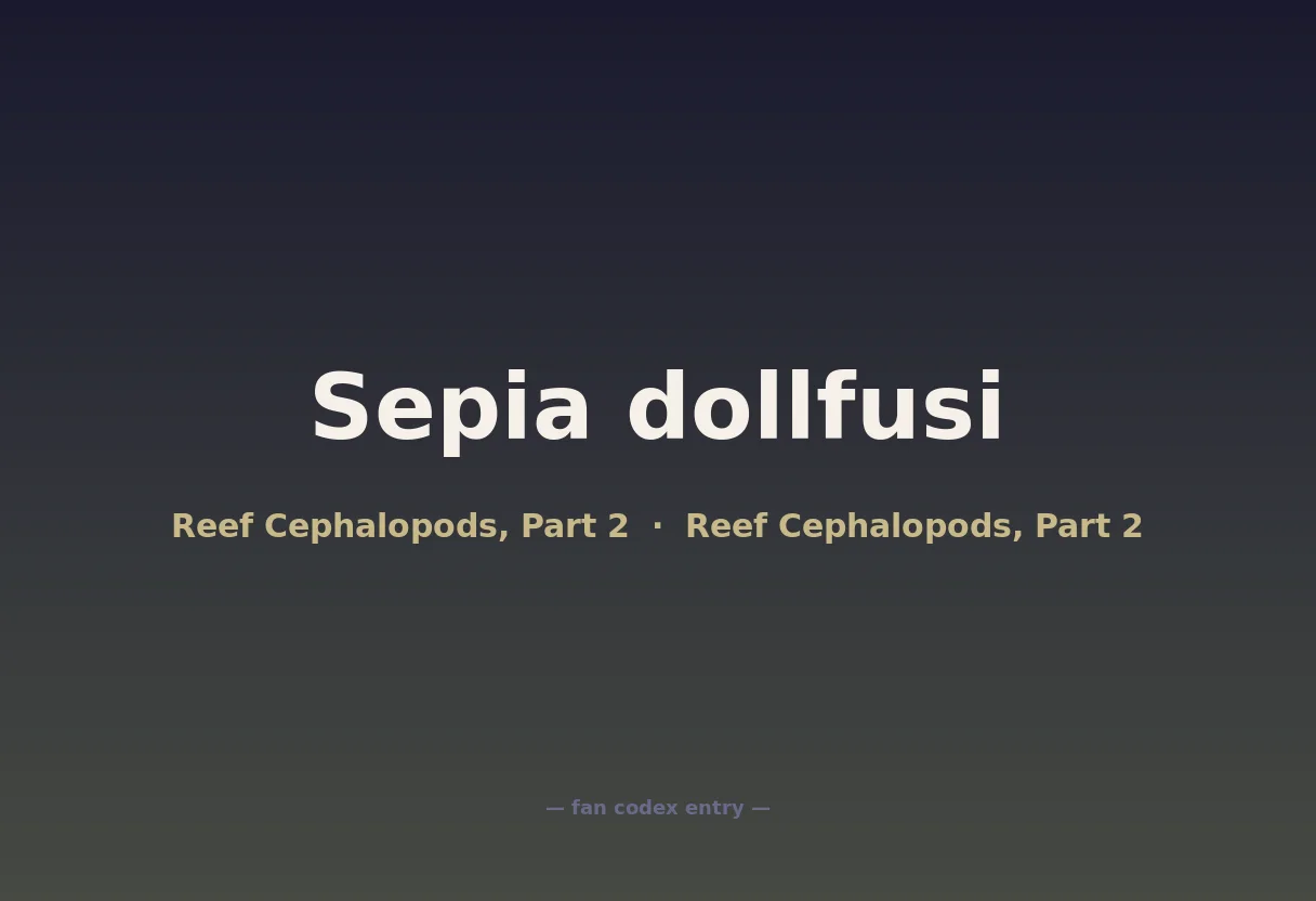 Sepia dollfusi