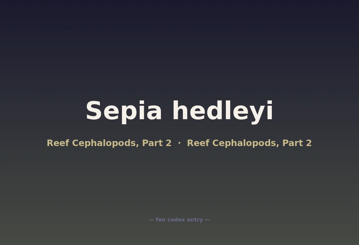 Sepia hedleyi