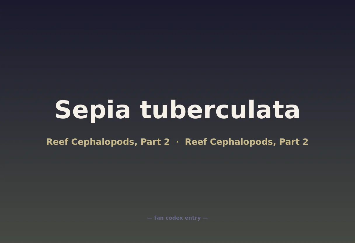 Sepia tuberculata
