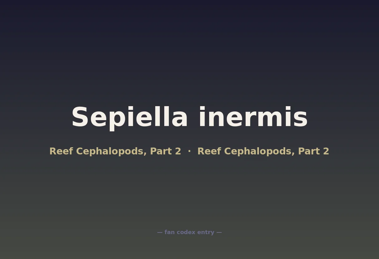 Sepiella inermis