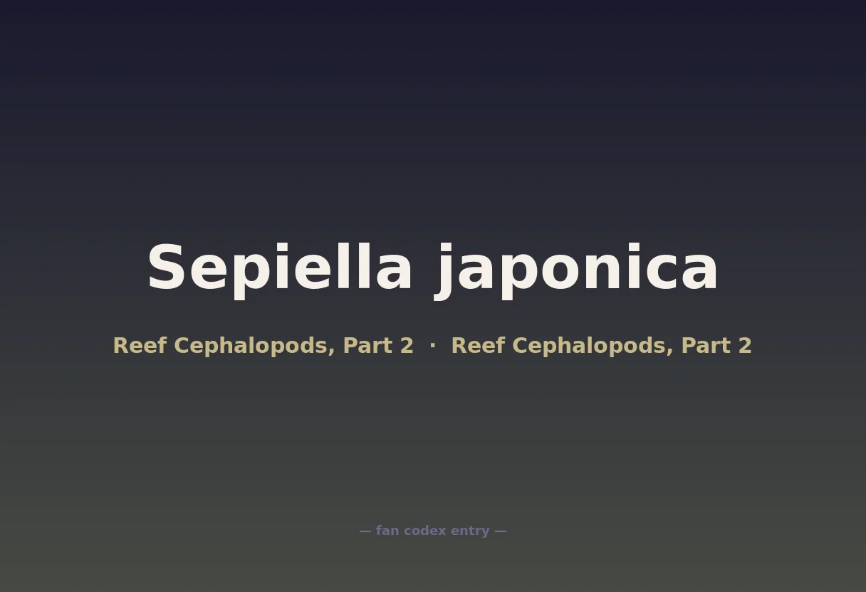 Sepiella japonica