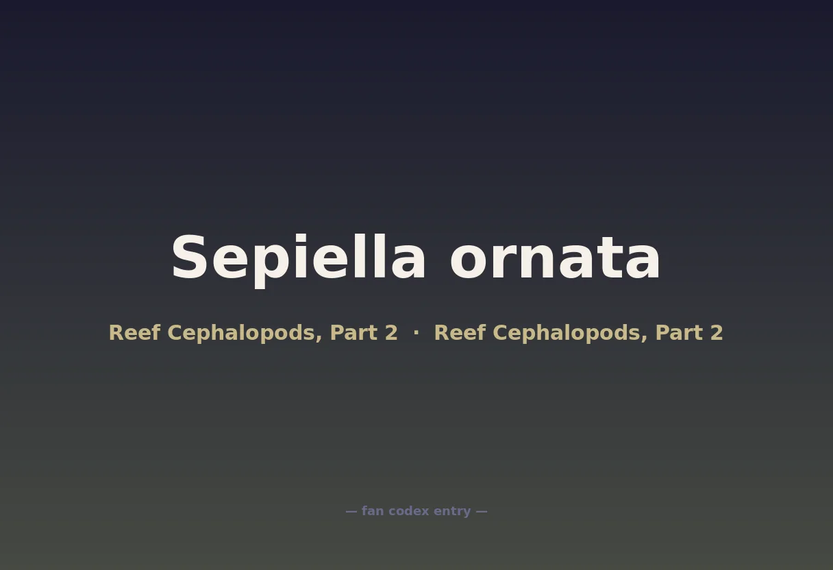 Sepiella ornata