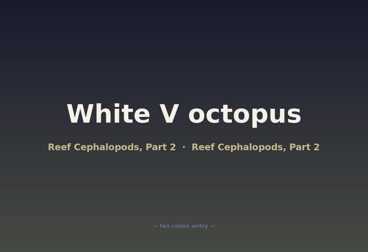 White V octopus