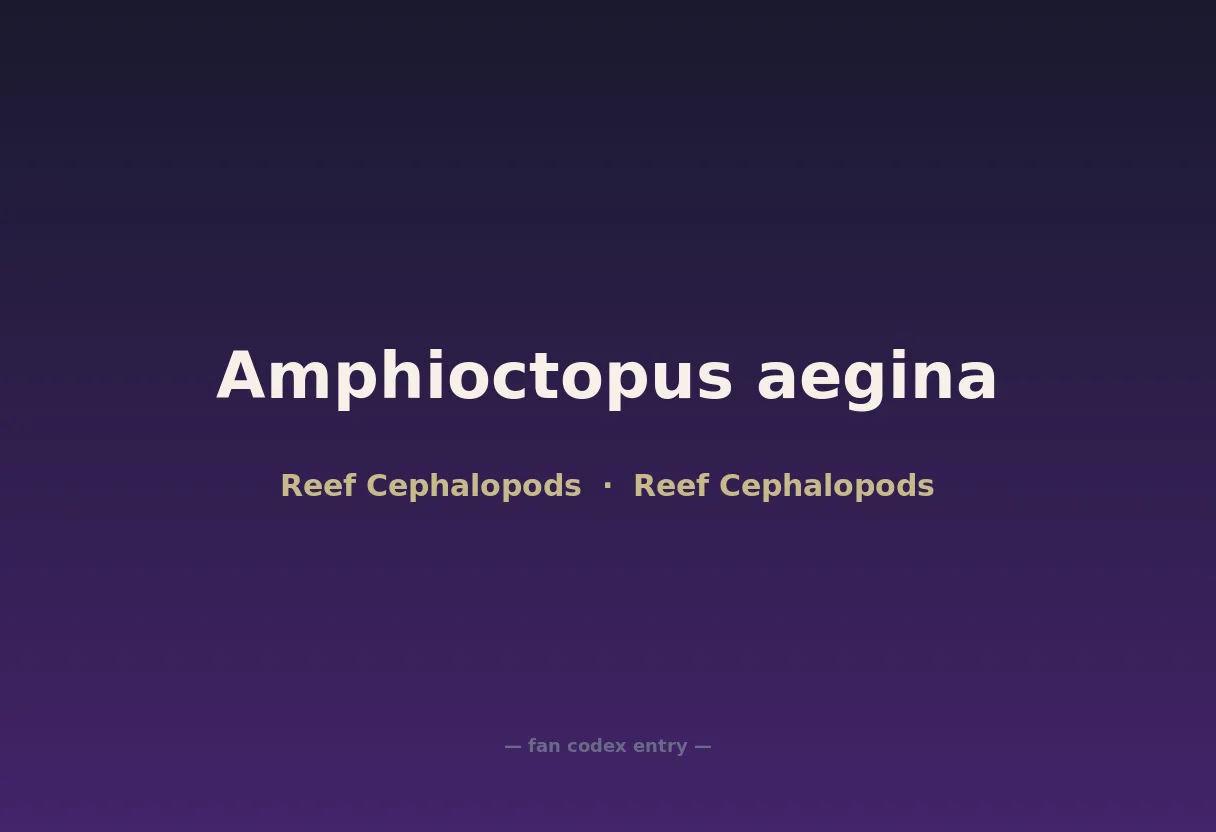 Amphioctopus aegina