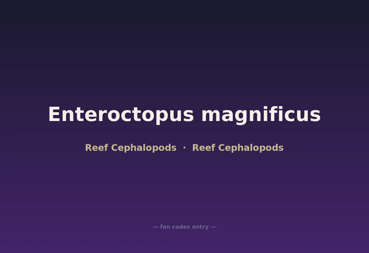 Enteroctopus magnificus