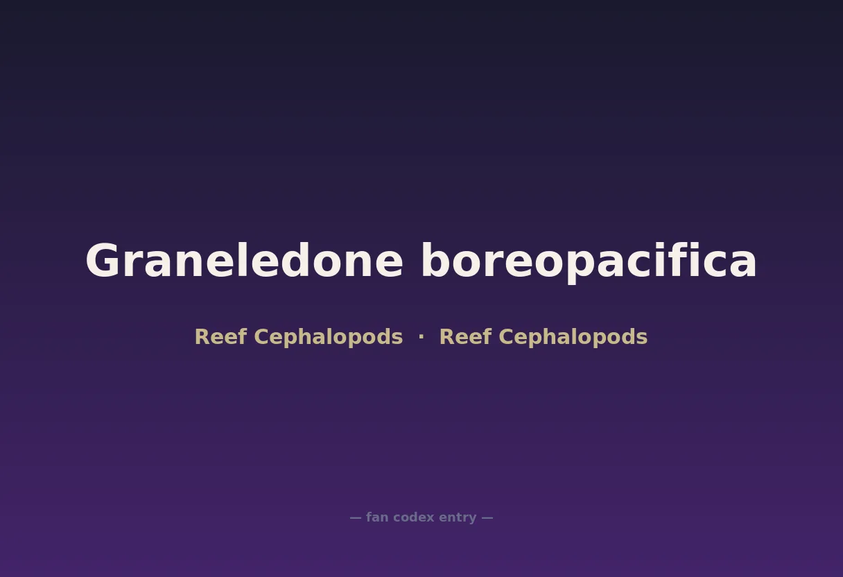 Graneledone boreopacifica
