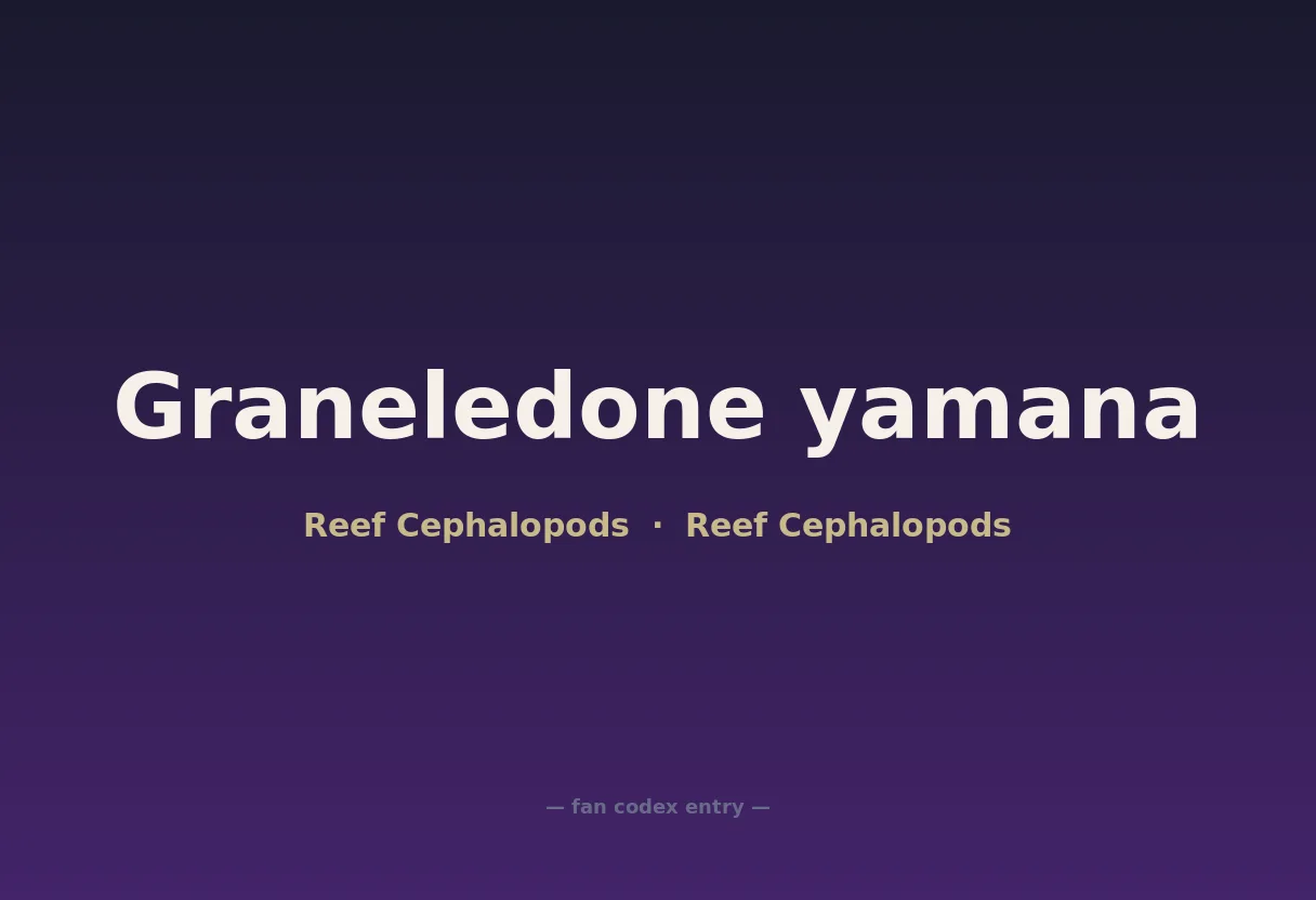 Graneledone yamana