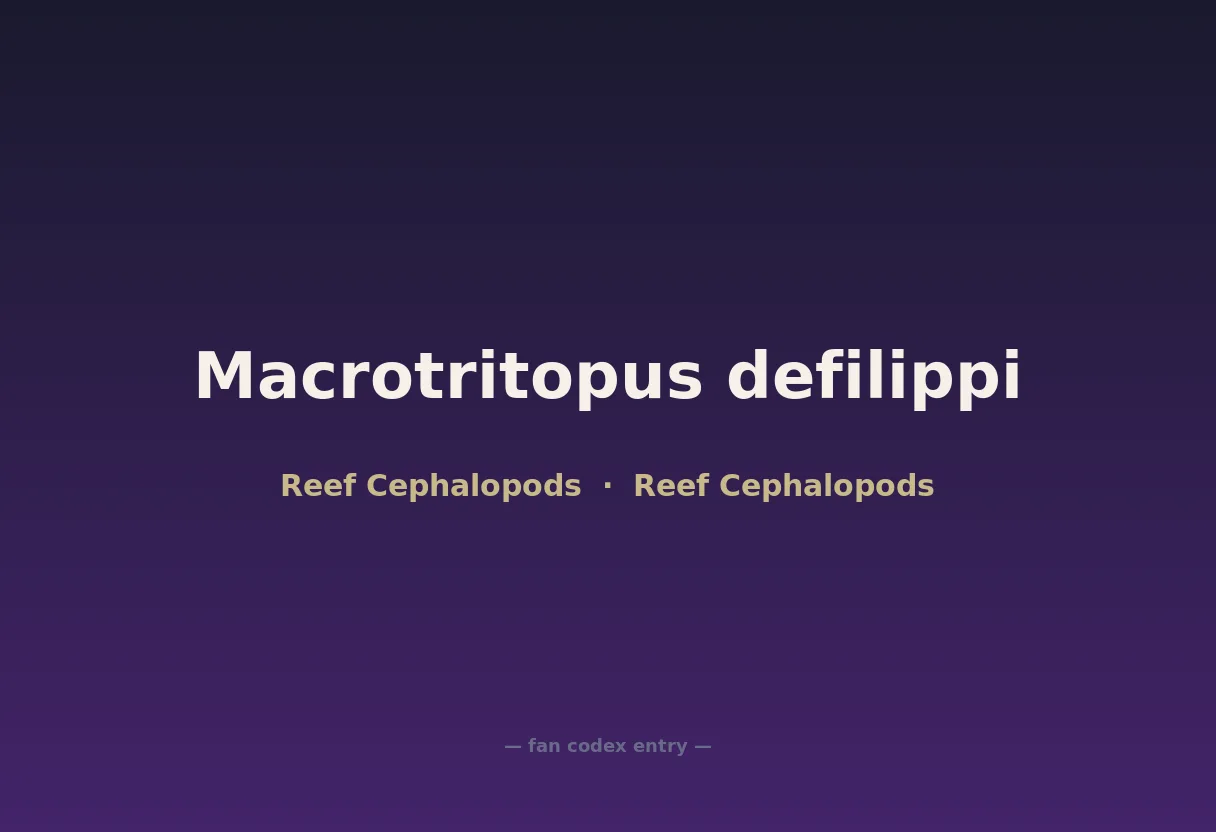 Macrotritopus defilippi