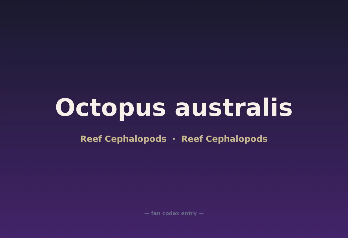 Octopus australis