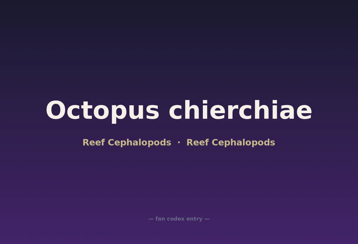 Octopus chierchiae