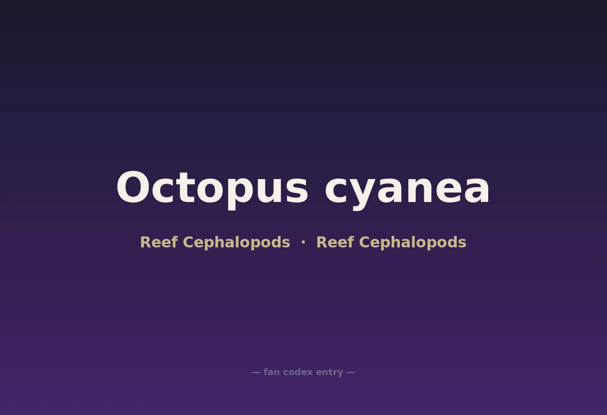 Octopus cyanea