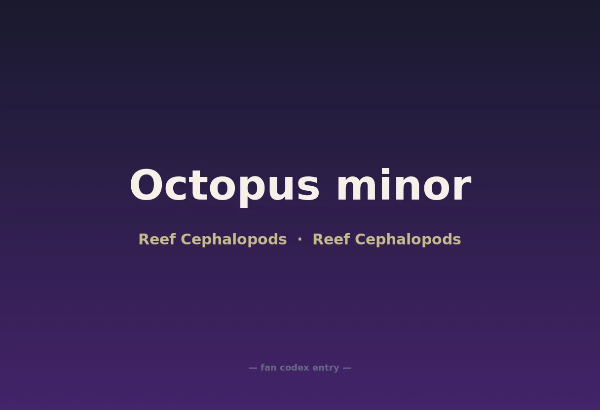 Octopus minor