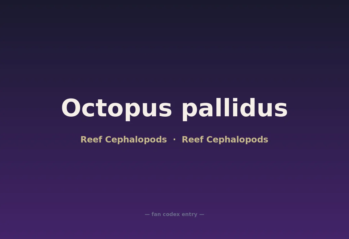 Octopus pallidus