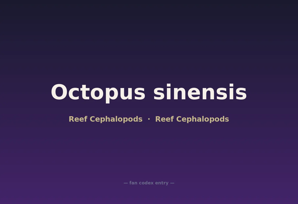 Octopus sinensis