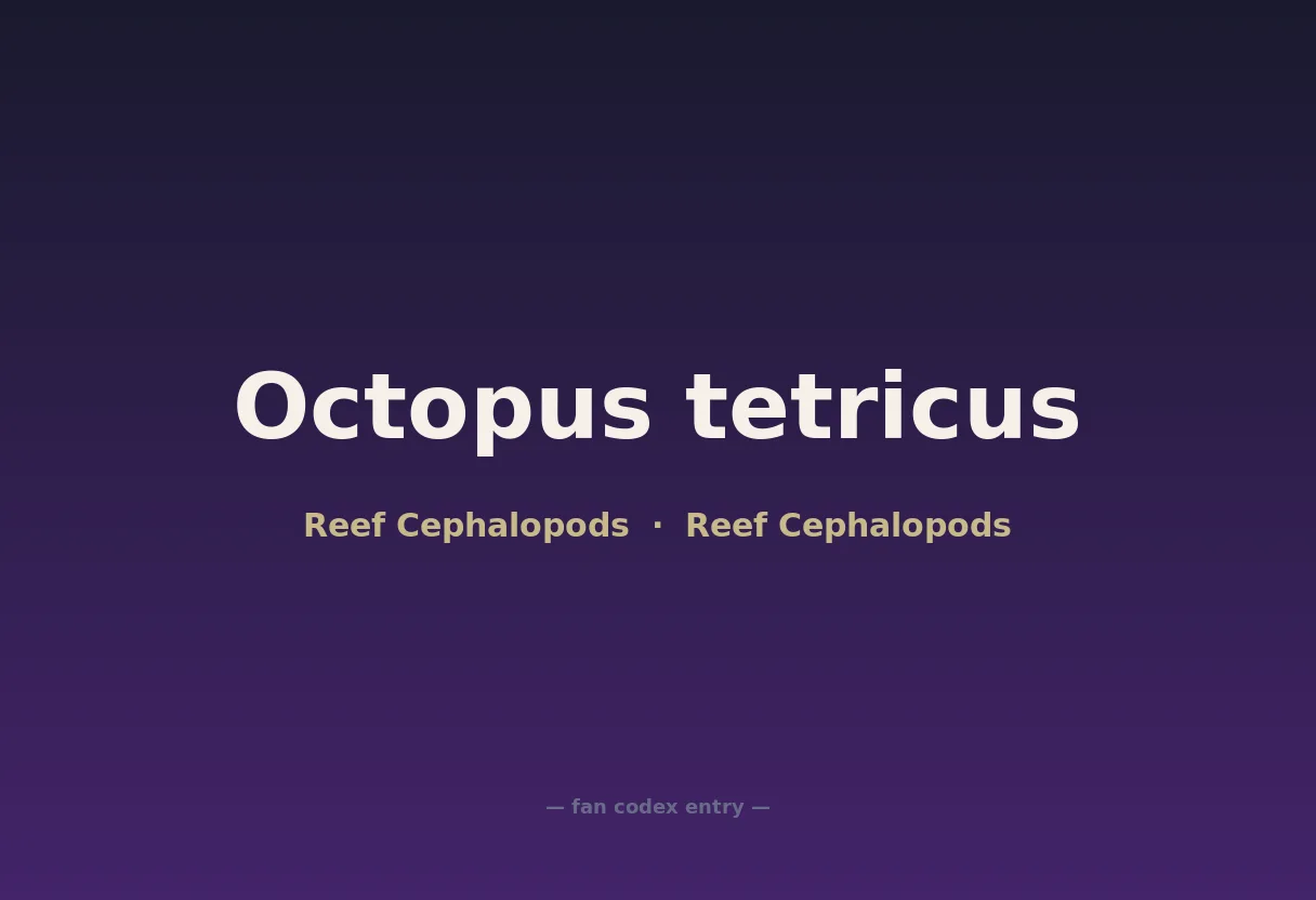 Octopus tetricus