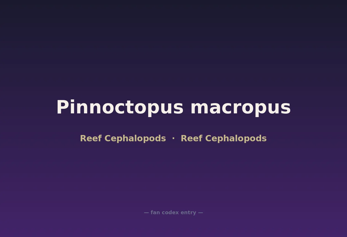 Pinnoctopus macropus