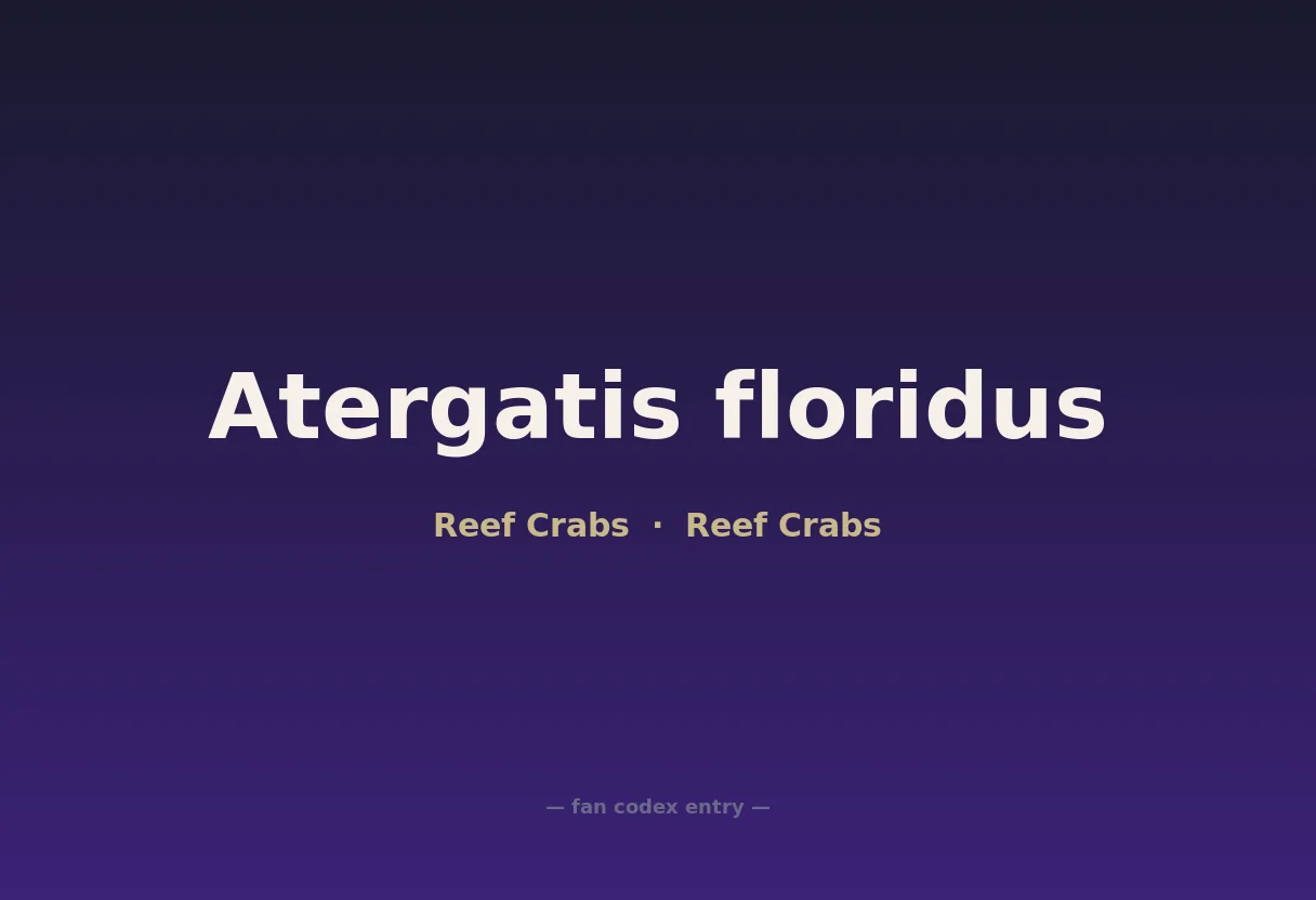 Atergatis floridus