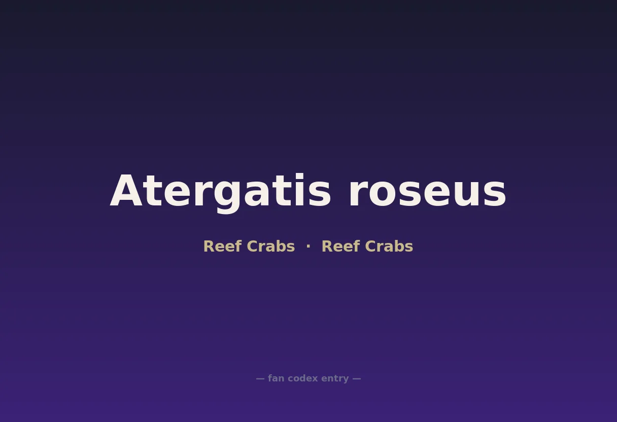Atergatis roseus