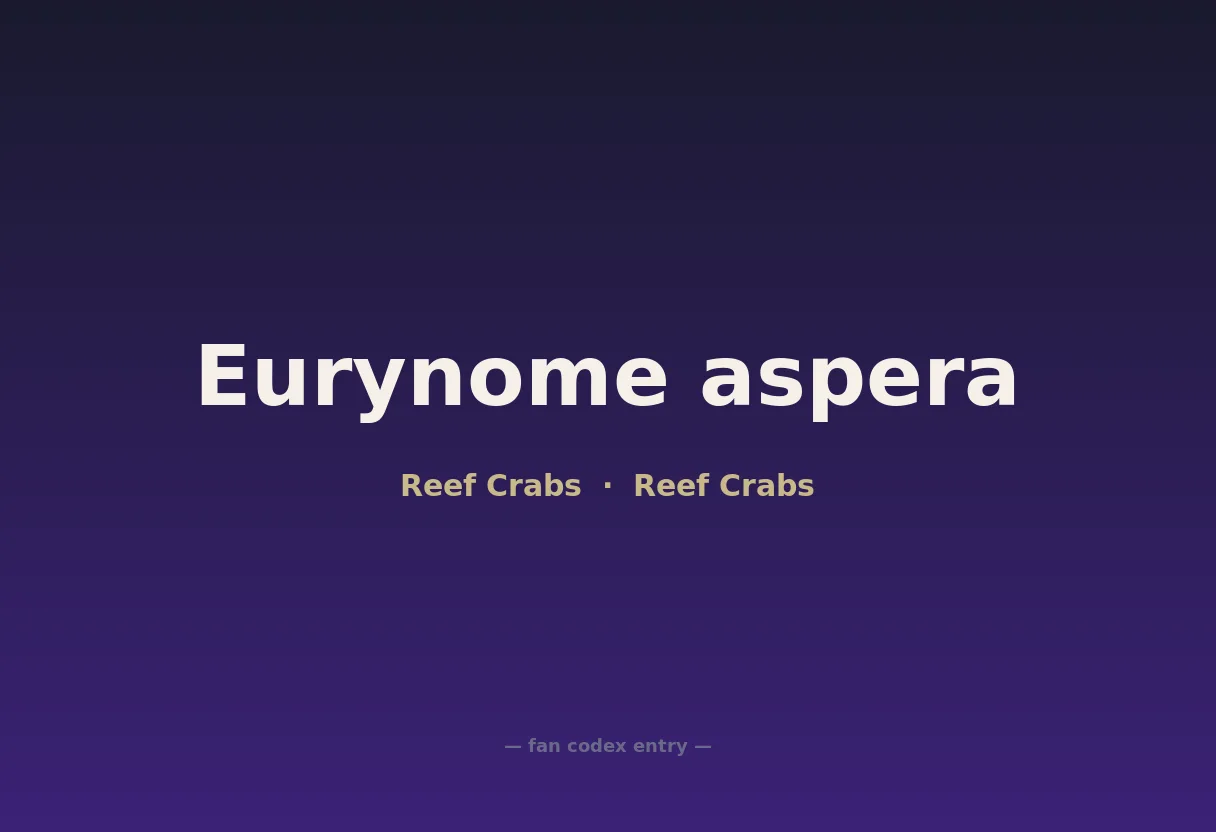 Eurynome aspera