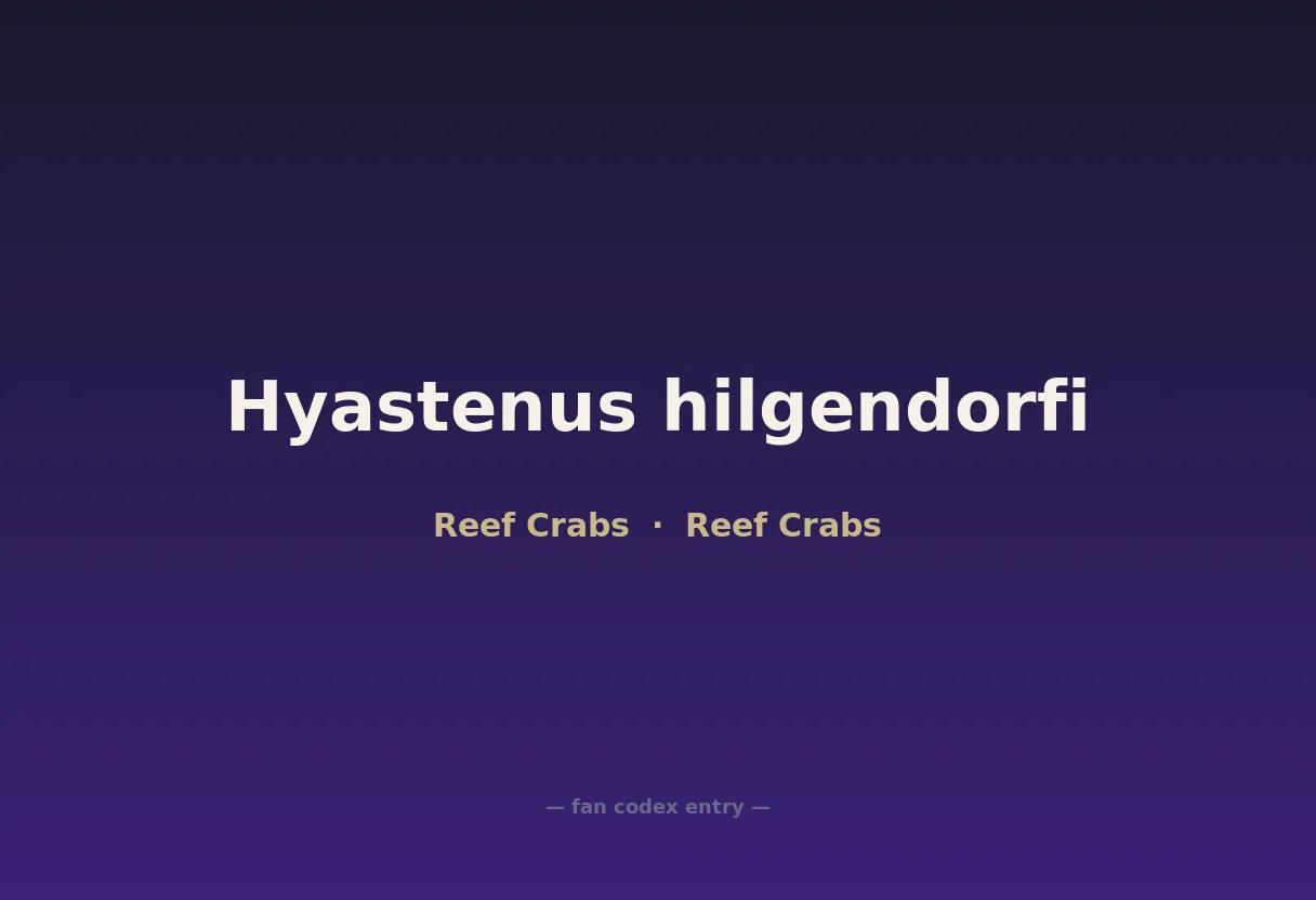 Hyastenus hilgendorfi