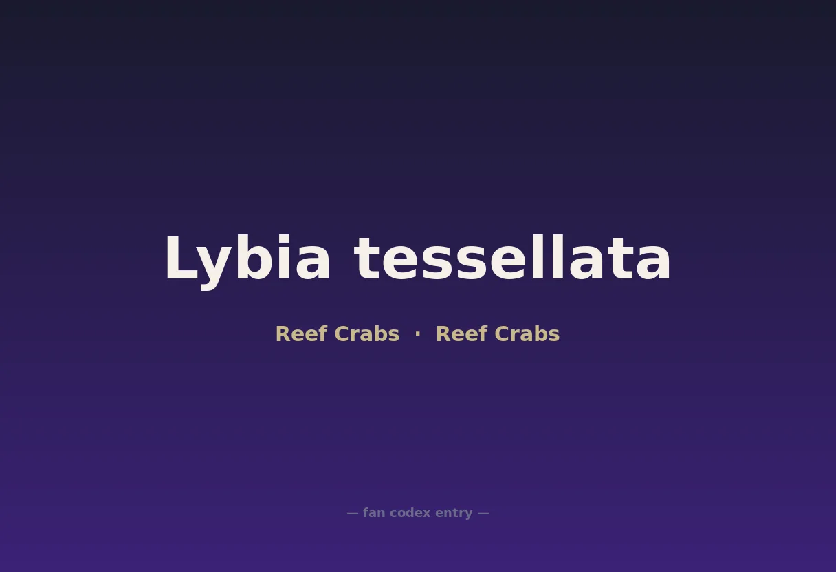 Lybia tessellata